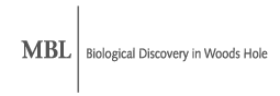 MBL Logo