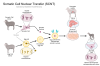 Somatic Cell Nuclear Transfer